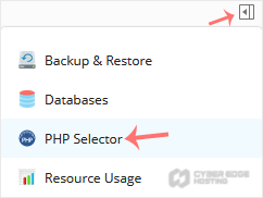 Plesk-CL-PHP-Selector-menu.gif